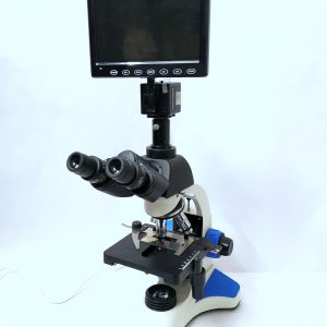 Trinocular Microscope
